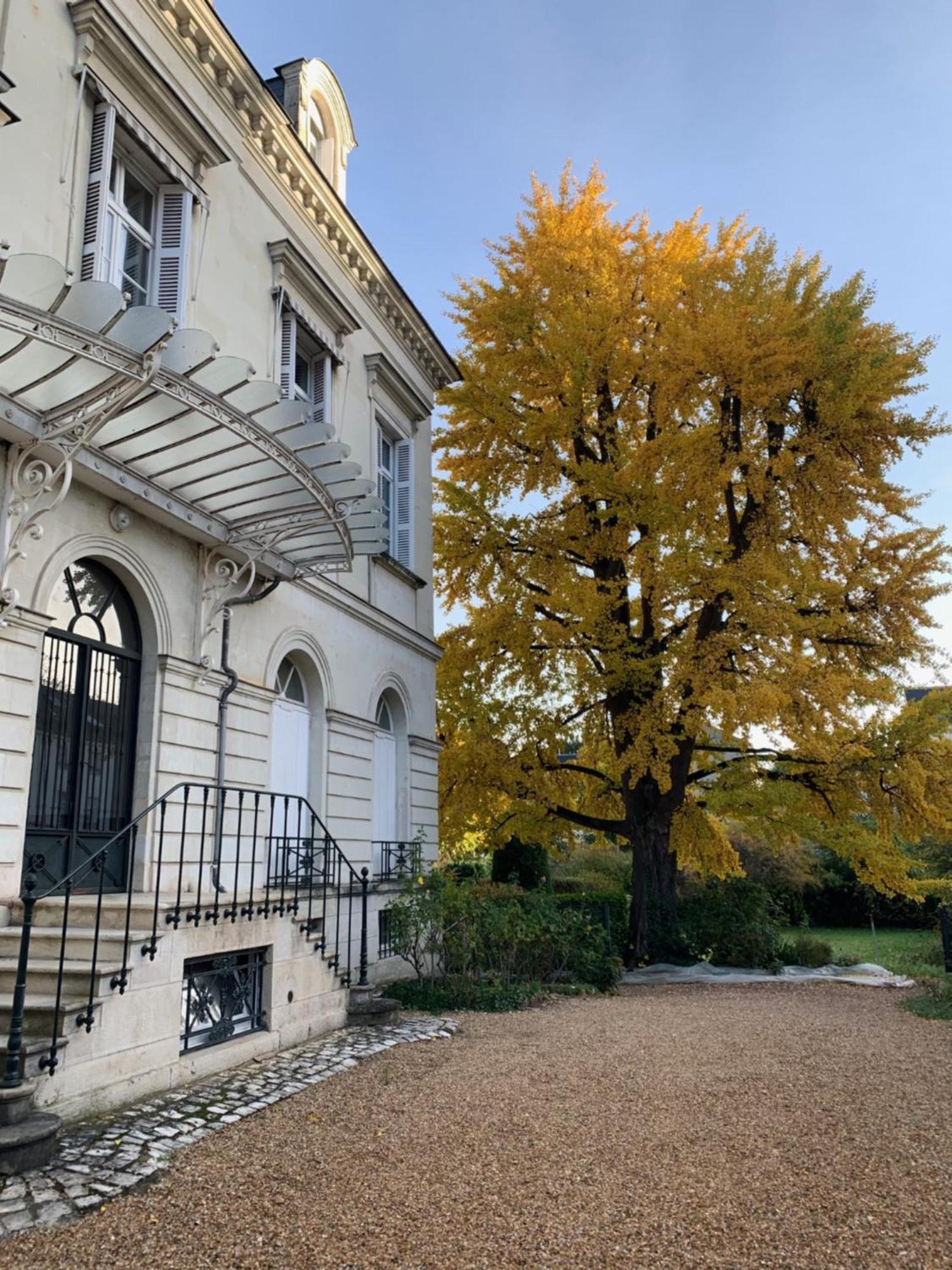 Appartamento A L'Abri Du Ginkgo Tours Esterno foto