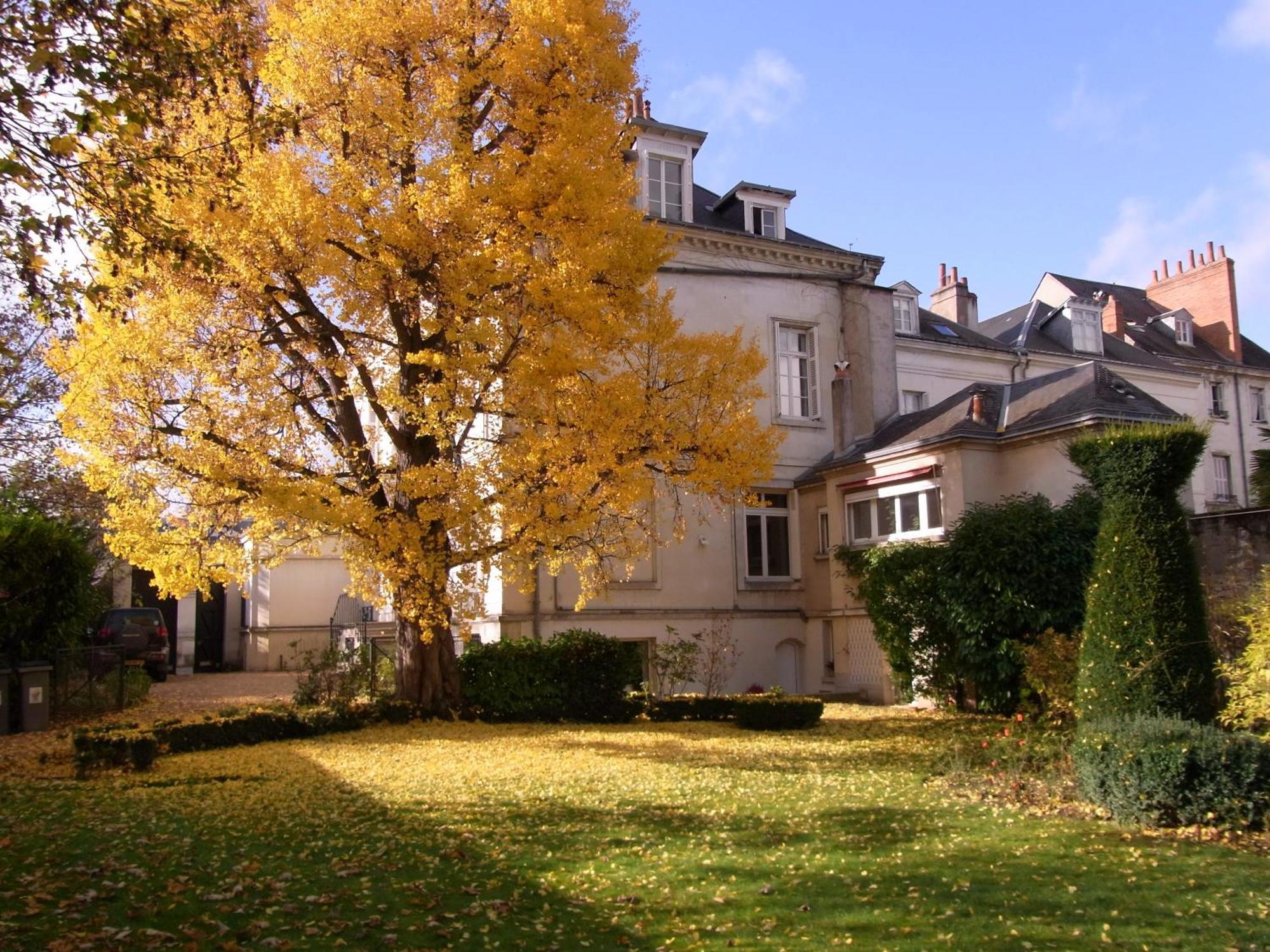 Appartamento A L'Abri Du Ginkgo Tours Esterno foto